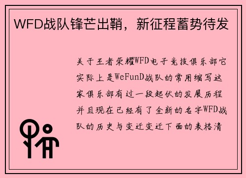 WFD战队锋芒出鞘，新征程蓄势待发
